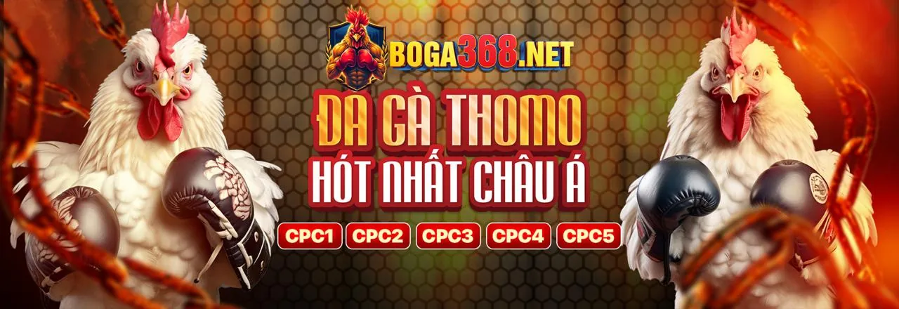 Giao diện cá cược thân thiện FV99